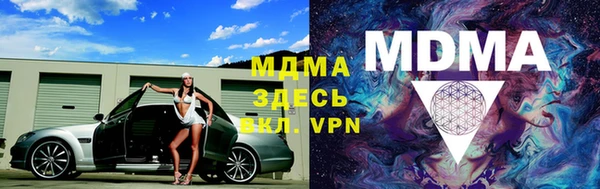 индика Михайловск