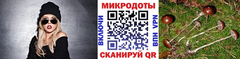 Галлюциногенные грибы MAGIC MUSHROOMS  Рыбинск 