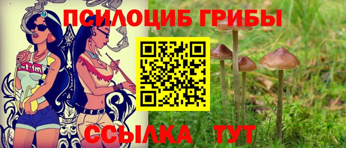 A PVP СК   НБОМе  МАРИХУАНА  КОКАИН  Рыбинск  Вейп ТГК  Меф МЯУ МЯУ кристаллы  Вход с VPN  ГАШ  ГАШ 
